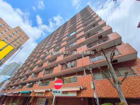 ���n�O�ώʐ^ �B�e��(2025-04-14)