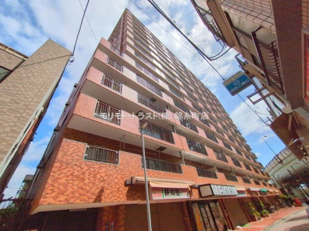 ���n�O�ώʐ^ �B�e��(2025-04-14 00:00:00)