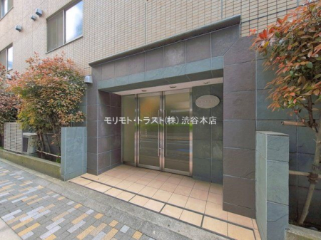 �G���g�����X �B�e��(2026-04-16)