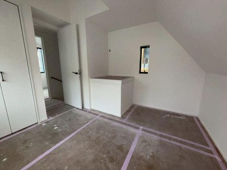 ���̑����� �����y�����z�i2026�N4���j�B�e