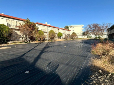 ���n�y�n�ʐ^ �O�ρy���n�z�i�i2026�N4���j�B�e