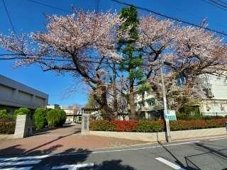 ���ӊ� ���w�Z 980m ���n�旧���n���w�Z(���n�旧���n���w�Z�܂�980m �k��13���B)