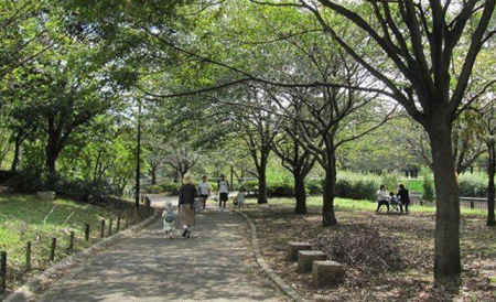 ���ӊ� ���� 1030m ��c�t�J���Βn(��c�t�J���Βn�܂�1030m �k��13���B)