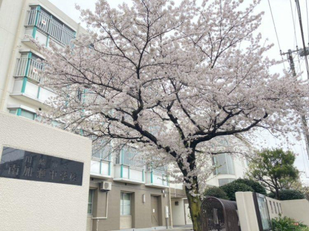 ���ӊ� ���w�Z 410m ���s����������w�Z(���s����������w�Z�܂�410m �k��6���B)