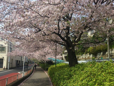 ���ӊ� ���� 300m �֕���x���Γ�(�֕���x���Γ��܂�300m �k��4���B)