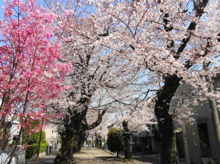 ���ӊ� ���� 360m �����Γ�(�����Γ��܂�360m �k��5���B)