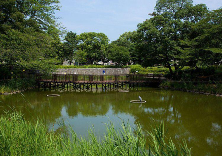 ���ӊ� ���� 790m ���ɂ̐X(���ɂ̐X�܂�790m �k��10���B)