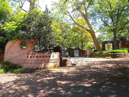 ���ӊ� ���� 2620m ��X�L�ˈ�Ւ뉀(��X�L�ˈ�Ւ뉀�܂�2620m �k��33���B)