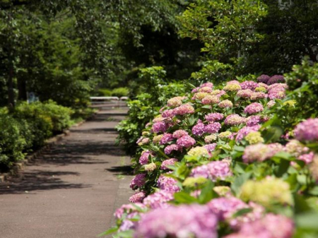 ���ӊ� �֕���Γ� �k��12���B 940m