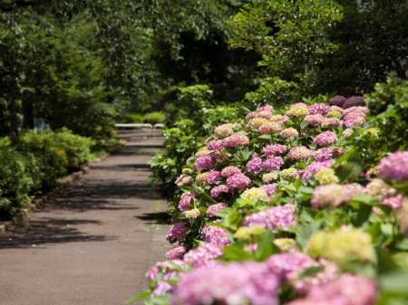 ���ӊ� ���� 940m �֕���Γ�(�֕���Γ��܂�940m �k��12���B)