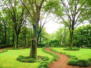 ���ӊ� ���� 980m �ԒːA����(�ԒːA�����܂�980m �k��13���B)