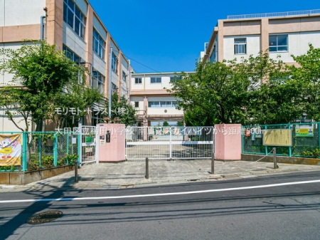 ���ӊ� ���w�Z 500m ��c�旧�~�c���w�Z