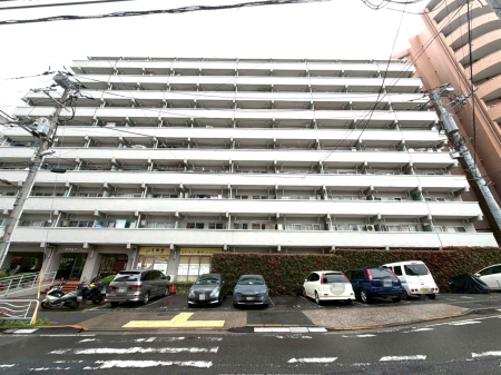 ���n�O�ώʐ^ �O�ρy���n�z�i2026�N4���j�B�e