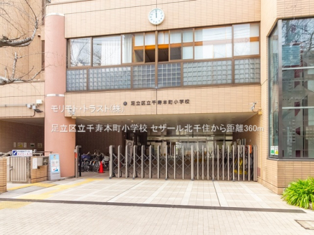 ���ӊ� ���w�Z 360m �����旧����{�����w�Z