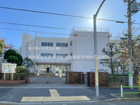 ���ӊ� ���w�Z 20m �����旧�k�쏬�w�Z