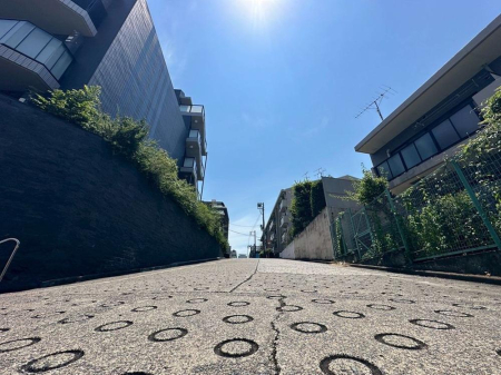 ���n�y�n�ʐ^ �O�ρy���n�z�i2026�N4���j�B�e