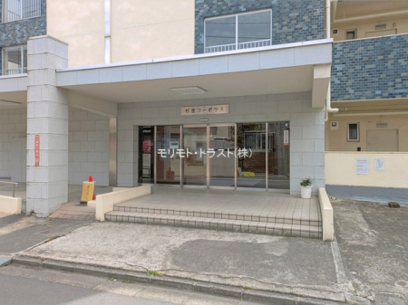 �G���g�����X -