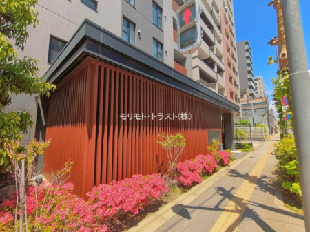 �G���g�����X -