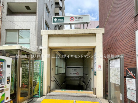 ���ӊ� �w 560m �s�c�n���S�u�ˉz�v�w
