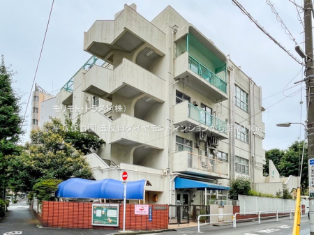 ���ӊ� �c�t���E�ۈ牀 140m ���˕ۈ牀