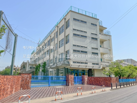 ���ӊ� �c�t���E�ۈ牀 590m ��J�c���ۈ牀