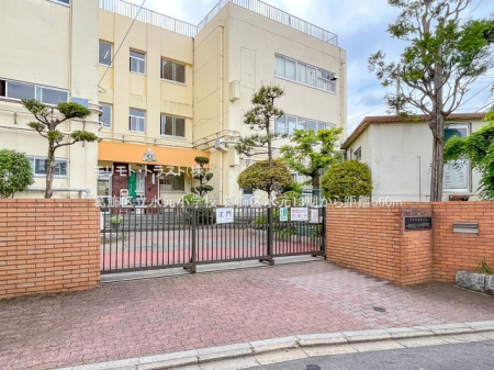 ���ӊ� ���w�Z 560m �����旧�������w�Z
