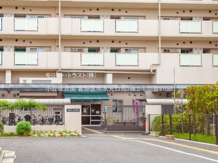 ���ӊ� �c�t���E�ۈ牀 810m �����ۈ牀