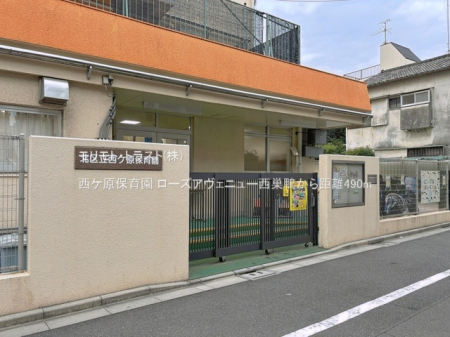 ���ӊ� �c�t���E�ۈ牀 490m ���P���ۈ牀