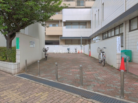 ���n�O�ώʐ^ -