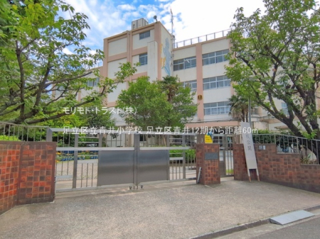 ���ӊ� ���w�Z 60m �����旧�䏬�w�Z