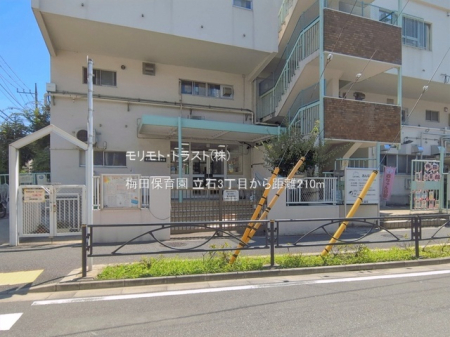 ���ӊ� �c�t���E�ۈ牀 210m �~�c�ۈ牀