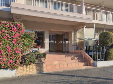 �G���g�����X -
