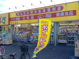 ���ӊ� �h���b�O�X�g�A 1004m �ǂ�����ςς� �쏬��X