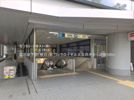 ���ӊ� �w 560m �s�c�n���S�u�t���v�w
