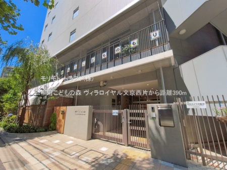 ���ӊ� �c�t���E�ۈ牀 390m �������ǂ��̐X