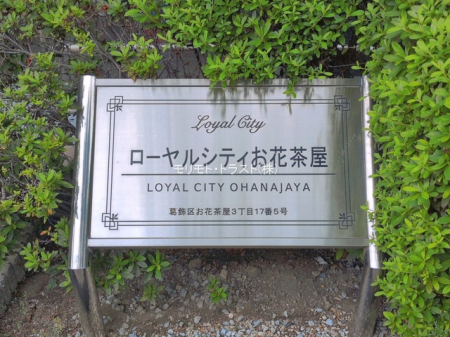 �G���g�����X -