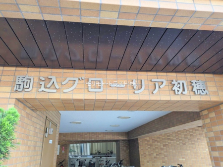 ���n�O�ώʐ^ -