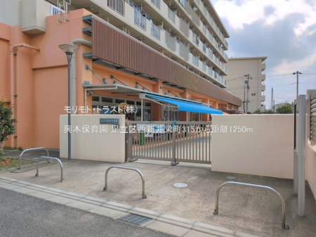 ���ӊ� �c�t���E�ۈ牀 1250m ���{�ۈ牀
