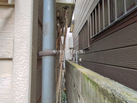 ���n�O�ώʐ^ -