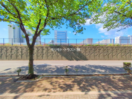 ���n�O�ώʐ^ -