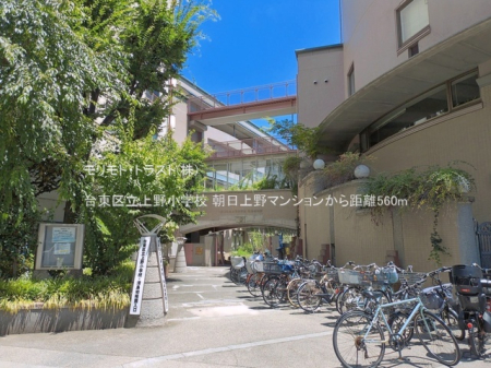���ӊ� ���w�Z 560m �䓌�旧��쏬�w�Z