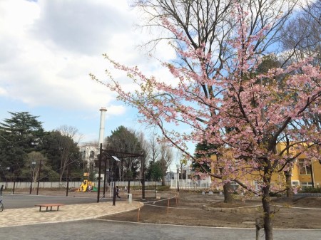 ���ӊ� ���� 300m ���c�J�旧���n��������